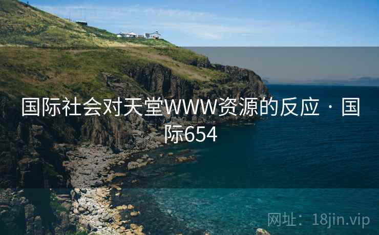 国际社会对天堂WWW资源的反应 · 国际654  第1张