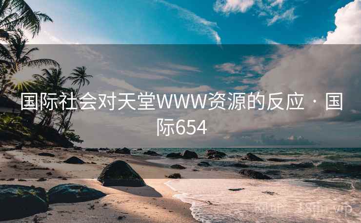 国际社会对天堂WWW资源的反应 · 国际654  第2张