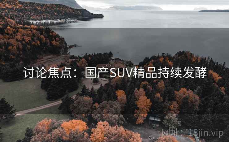 讨论焦点：国产SUV精品持续发酵  第1张