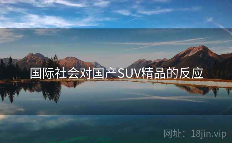 国际社会对国产SUV精品的反应 第2张 国际社会对国产SUV精品的反应 第2张