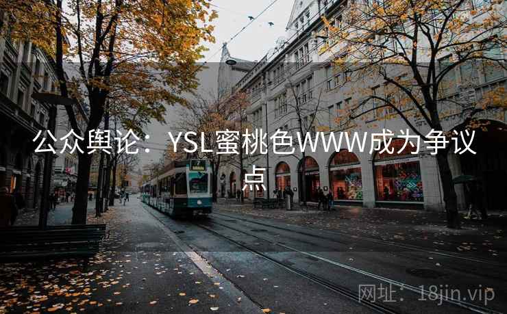 公众舆论:YSL蜜桃色WWW成为争议点 第1张 公众舆论:YSL蜜桃色WWW成为争议点 第1张