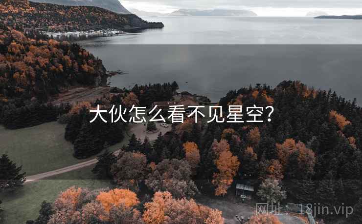 大伙怎么看不见星空？  第1张
